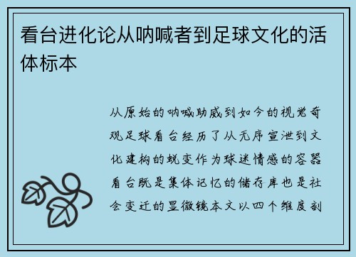 看台进化论从呐喊者到足球文化的活体标本